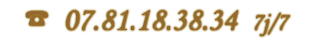 ☎ 07.81.18.38.34 7j/7