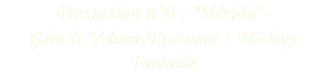 Prestation n°6 : "Mérida" - Gain de Volume/Epaisseur + Méchage Fantaisie